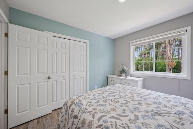 13171 Island View Dr NW, Elk River, MN 55330 - bedroom with wood finished floors and a closet