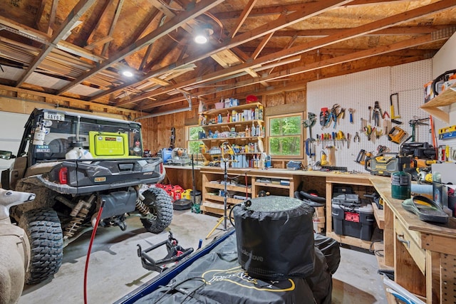 13171 Island View Dr NW, Elk River, MN 55330 - basement featuring a workshop area