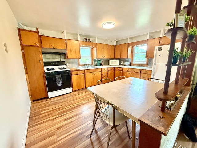 1402 Kirkwood Ave, Albert Lea, MN 56007 - kitchen with white appliances, light wood finished floors, light countertops, and plenty of natural light