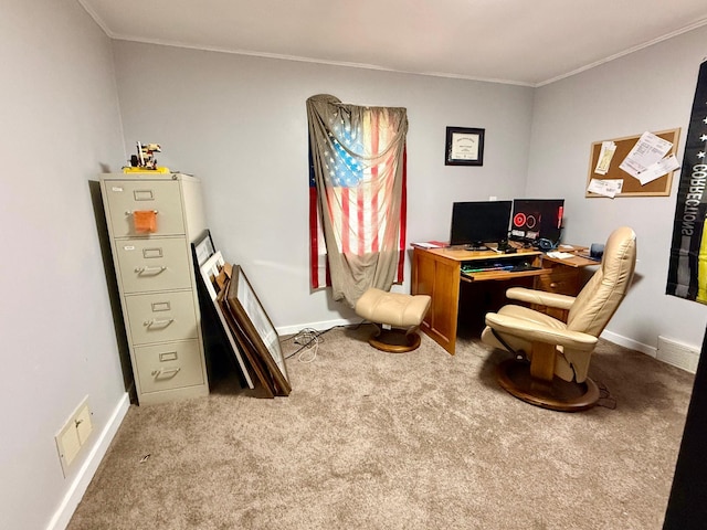 1402 Kirkwood Ave, Albert Lea, MN 56007 - carpeted office featuring crown molding and baseboards