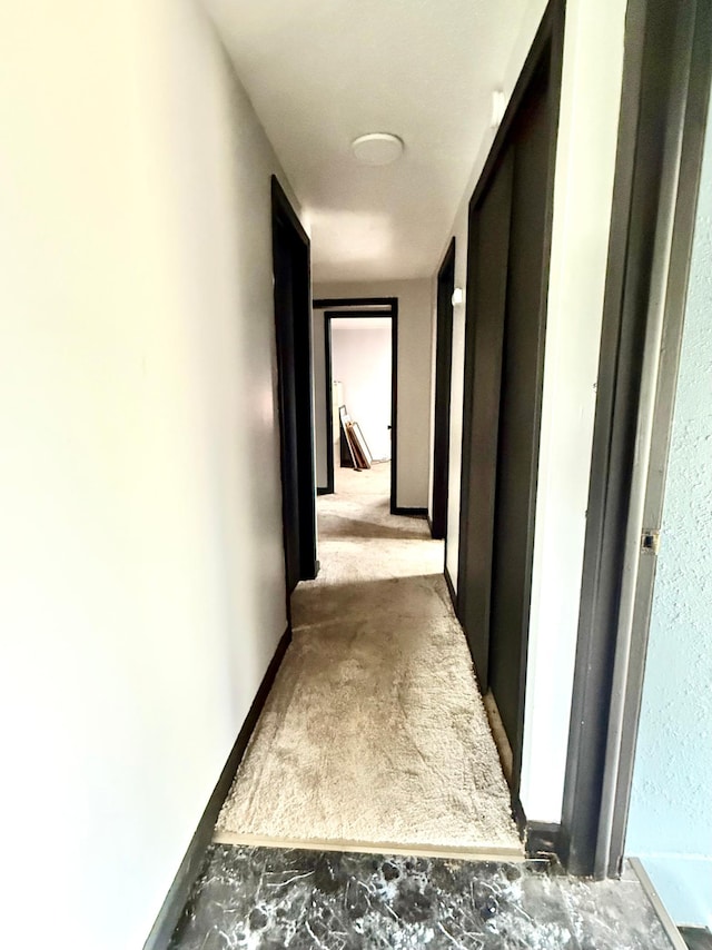 1402 Kirkwood Ave, Albert Lea, MN 56007 - view of hall