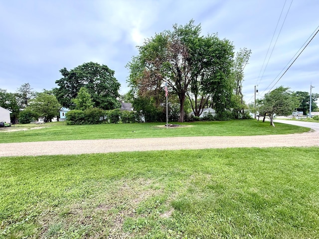 1402 Kirkwood Ave, Albert Lea, MN 56007 - view of green lawn