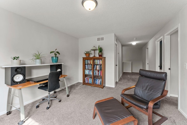 13055 Europa Trail Way N Unit A, Hugo, MN 55038 - carpeted office with a textured ceiling and baseboards