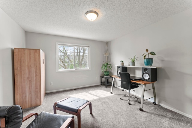 13055 Europa Trail Way N Unit A, Hugo, MN 55038 - carpeted office featuring a textured ceiling and baseboards