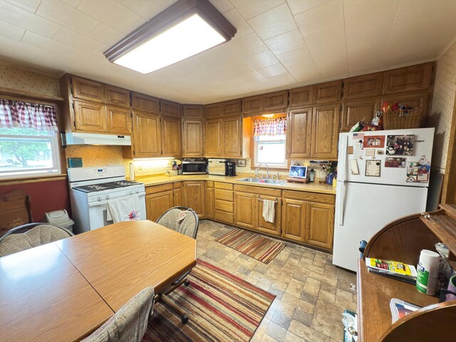 107 3rd Ave, Bellingham, MN 56212 - kitchen featuring under cabinet range hood, white appliances, a sink, light countertops, and brown cabinets