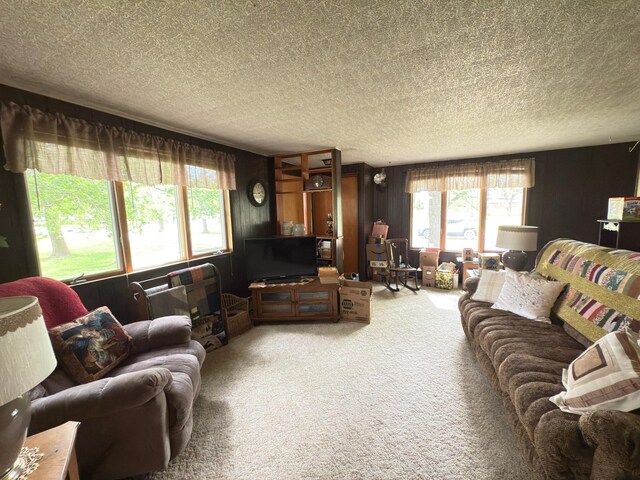107 3rd Ave, Bellingham, MN 56212 - living area featuring carpet flooring, a textured ceiling, and healthy amount of natural light