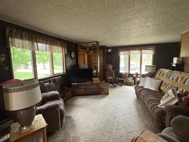 107 3rd Ave, Bellingham, MN 56212 - carpeted living room with a textured ceiling and an office area