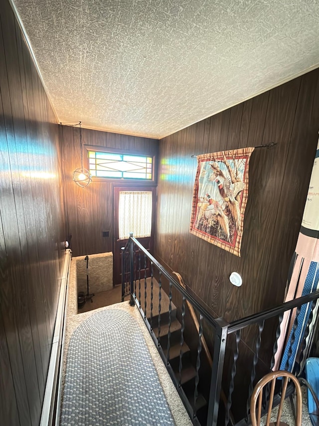 107 3rd Ave, Bellingham, MN 56212 - stairs featuring a textured ceiling, carpet flooring, and wooden walls
