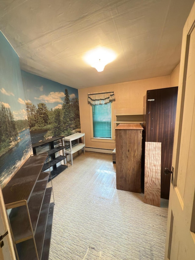 107 3rd Ave, Bellingham, MN 56212 - carpeted bedroom with a baseboard heating unit