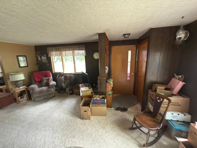 107 3rd Ave, Bellingham, MN 56212 - living area featuring carpet and a textured ceiling