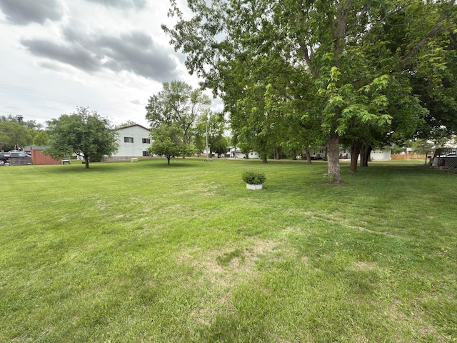 107 3rd Ave, Bellingham, MN 56212 - view of grassy yard