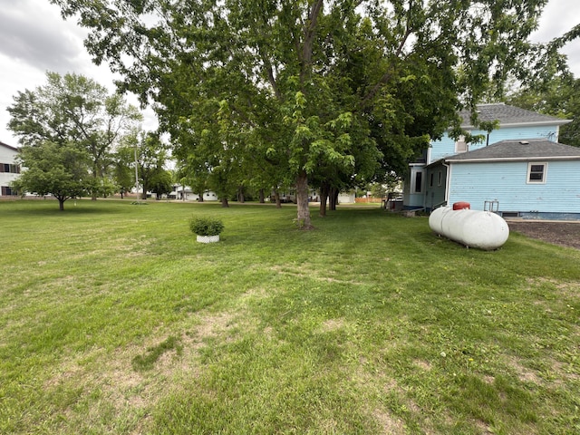 107 3rd Ave, Bellingham, MN 56212 - view of green lawn