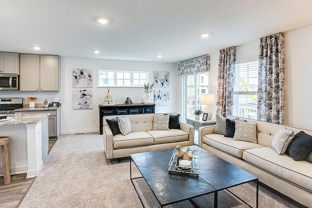 12549 Guadalcanal Cir NE Unit E, Blaine, MN 55449 - living room with recessed lighting, baseboards, and light wood-style floors