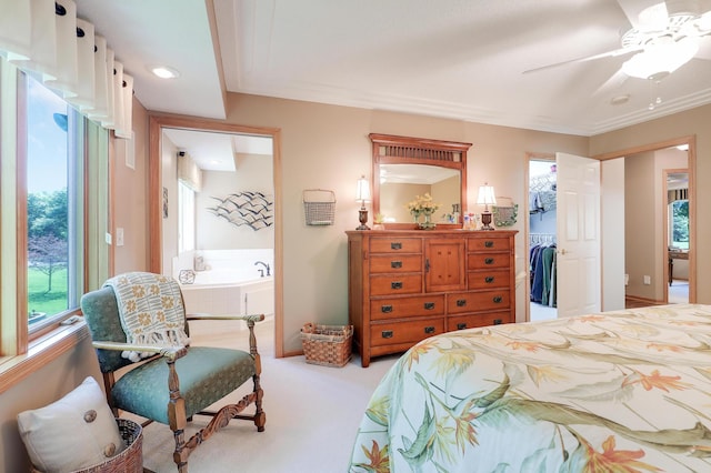 2301 170th Ln NW, Andover, MN 55304 - bedroom with multiple windows, carpet flooring, a ceiling fan, a spacious closet, and ornamental molding