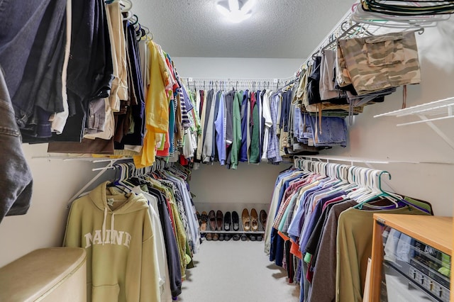 2301 170th Ln NW, Andover, MN 55304 - walk in closet featuring carpet