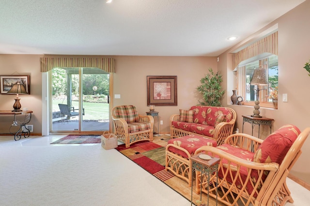 2301 170th Ln NW, Andover, MN 55304 - living area featuring carpet floors, baseboards, and recessed lighting
