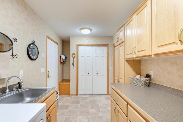 2301 170th Ln NW, Andover, MN 55304 - kitchen featuring a sink and light brown cabinetry