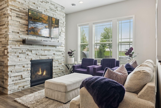 8094 Arrowwood Ln N, Maple Grove, MN 55369 - living room with a stone fireplace and wood finished floors