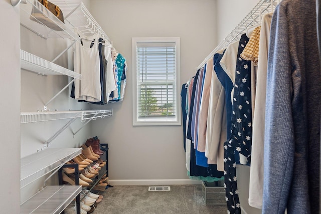 8094 Arrowwood Ln N, Maple Grove, MN 55369 - spacious closet featuring carpet flooring
