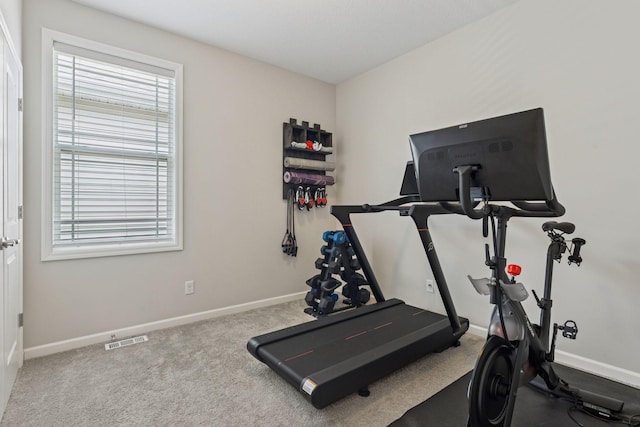 8094 Arrowwood Ln N, Maple Grove, MN 55369 - exercise room featuring plenty of natural light, baseboards, and carpet flooring