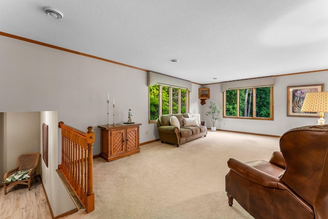 674 Mound Ave, Shoreview, MN 55126 - living room featuring ornamental molding and carpet flooring