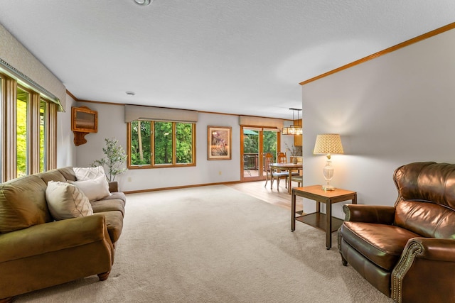 674 Mound Ave, Shoreview, MN 55126 - living room featuring light colored carpet and healthy amount of natural light