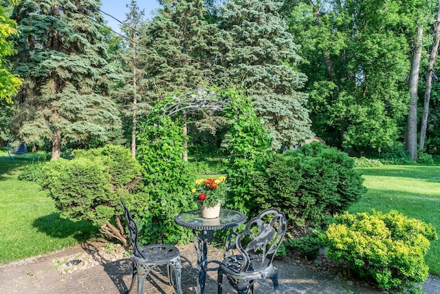 674 Mound Ave, Shoreview, MN 55126 - view of patio