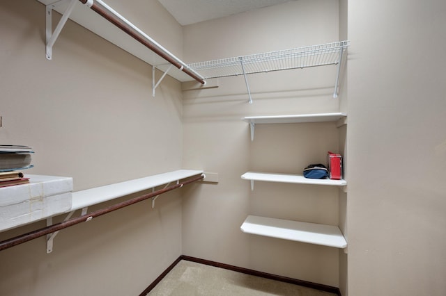 145 Bluebird Ln, Clearwater, MN 55320 - spacious closet with light carpet