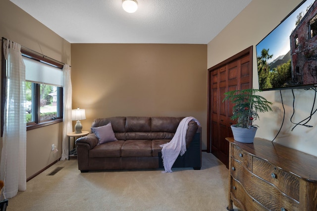 145 Bluebird Ln, Clearwater, MN 55320 - living area featuring light colored carpet