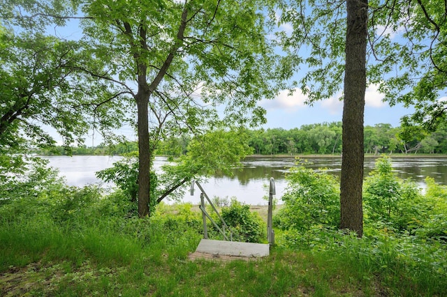 145 Bluebird Ln, Clearwater, MN 55320 - water view