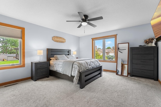 1001 1st Pl NW, Kasson, MN 55944 - photo 12
