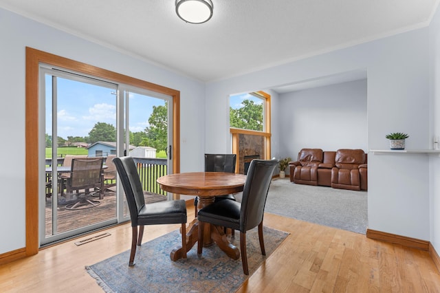 1001 1st Pl NW, Kasson, MN 55944 - photo 9