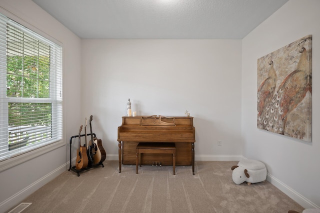 18301 100th Ave N, Osseo, MN 55311 - living area featuring plenty of natural light, carpet floors, and baseboards