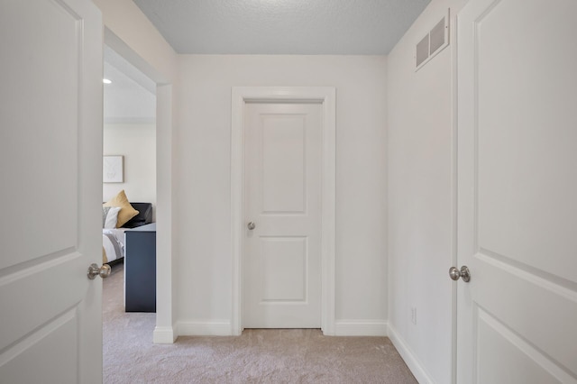 18301 100th Ave N, Osseo, MN 55311 - corridor featuring light carpet, baseboards, and a textured ceiling