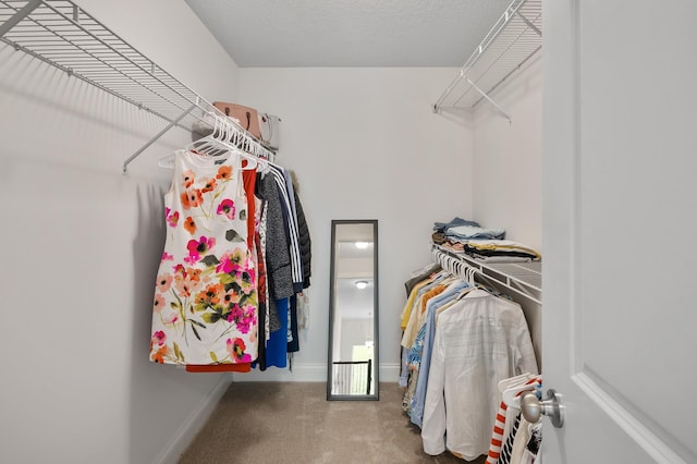 18301 100th Ave N, Osseo, MN 55311 - spacious closet featuring carpet flooring