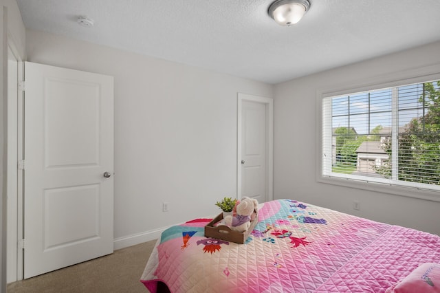 18301 100th Ave N, Osseo, MN 55311 - bedroom with carpet floors, a textured ceiling, and baseboards