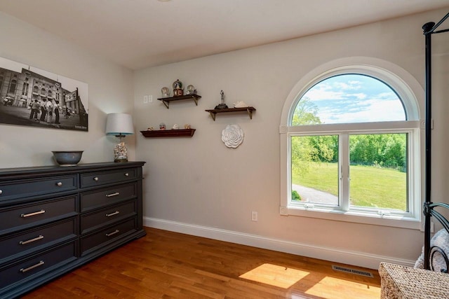24534 474th Ln, Elysian Twp, MN 56028 - sitting room featuring healthy amount of natural light, dark wood finished floors, and baseboards