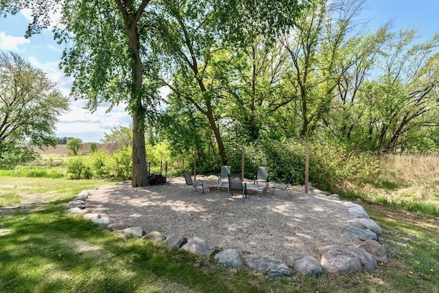 24534 474th Ln, Elysian Twp, MN 56028 - view of yard featuring a patio