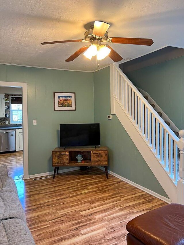 120 Merriam Ave N, Thief River Falls, MN 56701 - photo 11