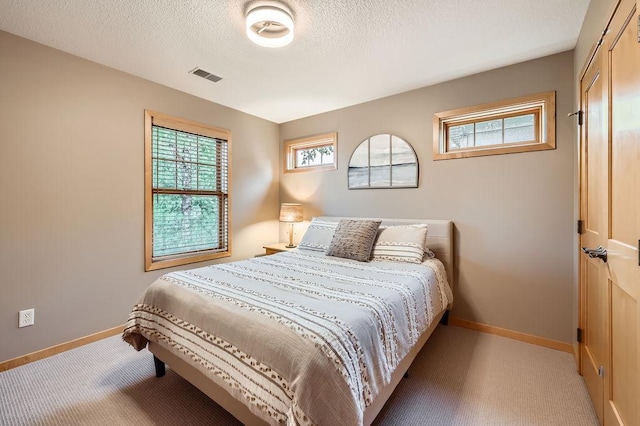 946 Wild Rose Ct, Eagan, MN 55123 - bedroom with light colored carpet, multiple windows, and a textured ceiling