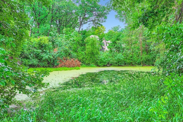 946 Wild Rose Ct, Eagan, MN 55123 - view of yard