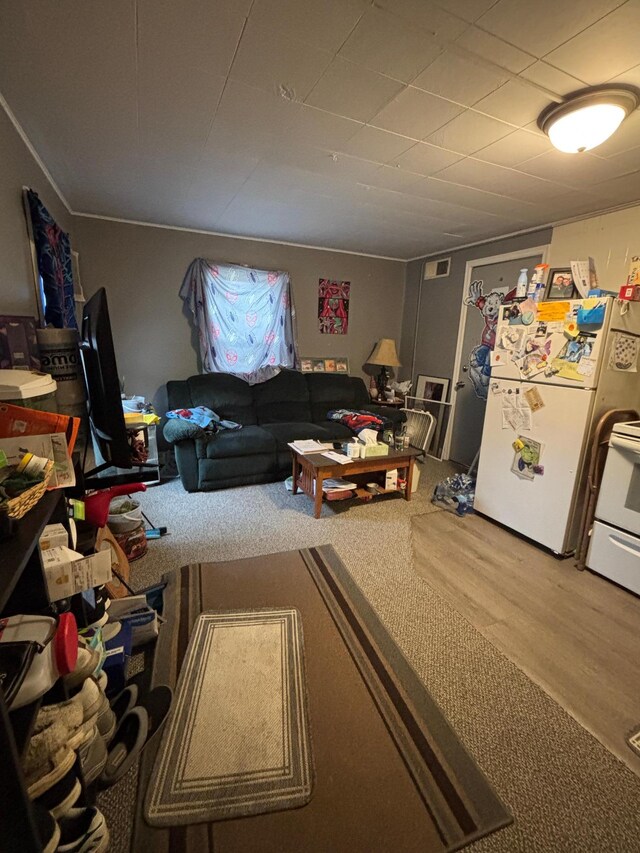 215 9th St NW, Bemidji, MN 56601 - photo 11