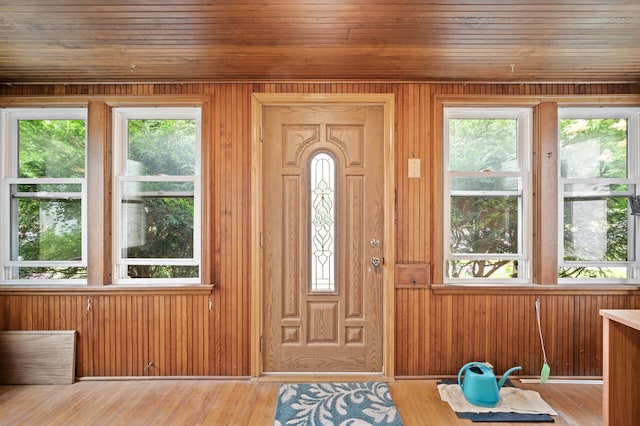 967 Stryker Ave W, Saint Paul, MN 55118 - entrance foyer featuring plenty of natural light, wood finished floors, and wooden walls