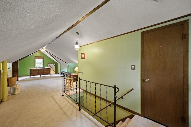 967 Stryker Ave W, Saint Paul, MN 55118 - additional living space with carpet, lofted ceiling, and a textured ceiling
