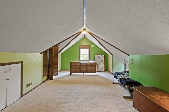 967 Stryker Ave W, Saint Paul, MN 55118 - additional living space featuring carpet, a textured ceiling, and vaulted ceiling