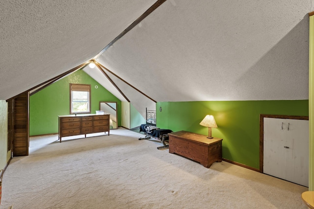 967 Stryker Ave W, Saint Paul, MN 55118 - additional living space with a textured ceiling, carpet flooring, and vaulted ceiling