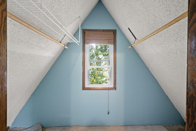 967 Stryker Ave W, Saint Paul, MN 55118 - additional living space featuring vaulted ceiling and a textured ceiling