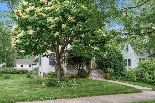 967 Stryker Ave W, Saint Paul, MN 55118 - obstructed view of property with a front lawn