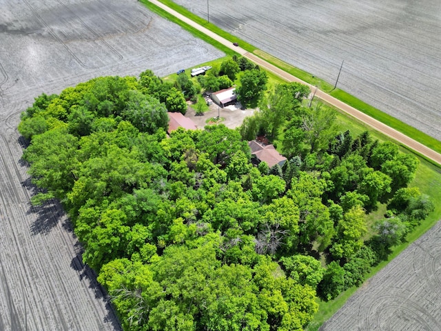 6198 210th Ave SE, Lake Lillian Twp, MN 56253 - aerial view
