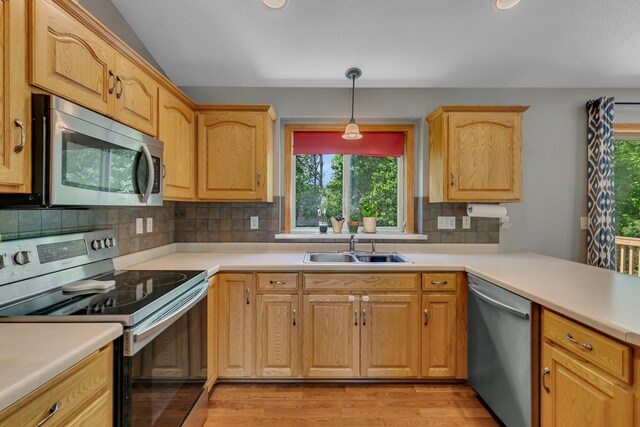 2821 15th Ave S, Saint Cloud, MN 56301 - kitchen with appliances with stainless steel finishes, a sink, plenty of natural light, and light wood-style flooring